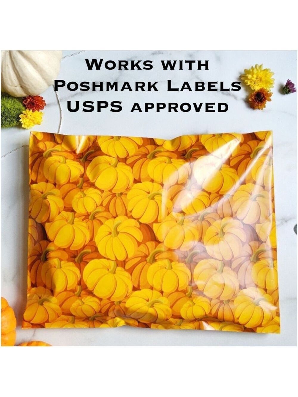 25 10X13 Poly Mailers Pumpkin, Shipping Envelopes Bags PRICE IS FIRM Fall - Picture 8 of 11